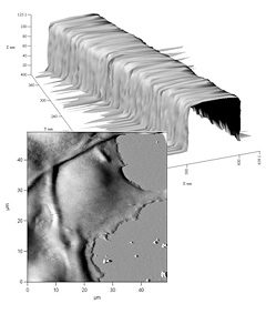 Team Nanotec awards prizes for the best mechanical, magnetic, electric and topographic SPM images